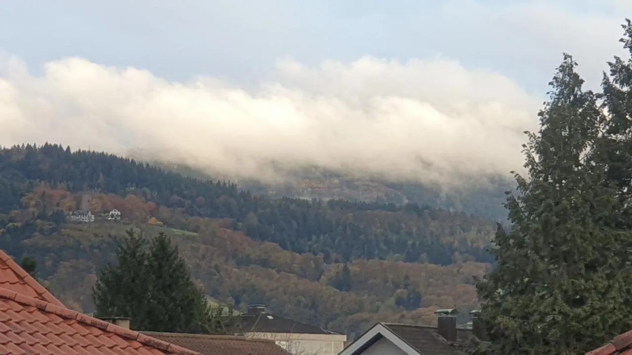 Boardingappartement Windeckblick, ruhige, zentrale Lage mit großem Südbalkon Bühl 0*,  Deutschland